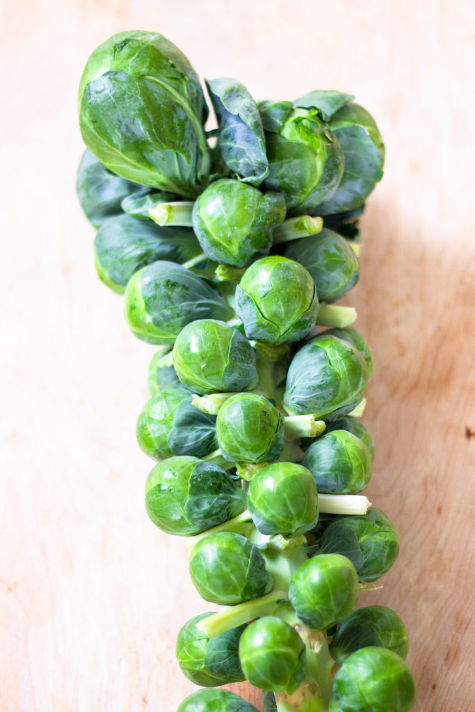 Honey Balsamic Brussels Sprouts by Diverse Dinners